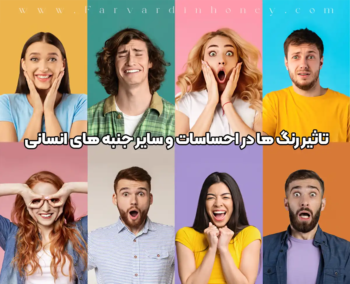 تاثیر رنگ ها در احساسات و سایر جنبه های انسانی