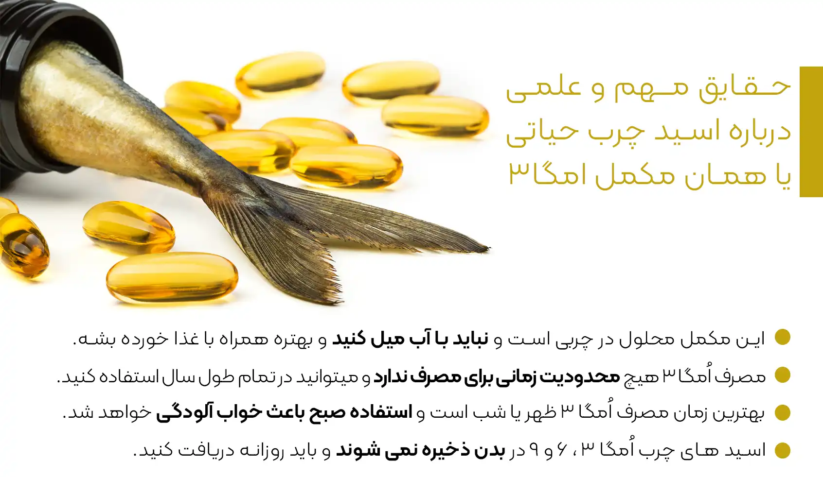 حقایق مهم در مورد امگا3 | مجله علمی، پزشکی و درمانی فروردین