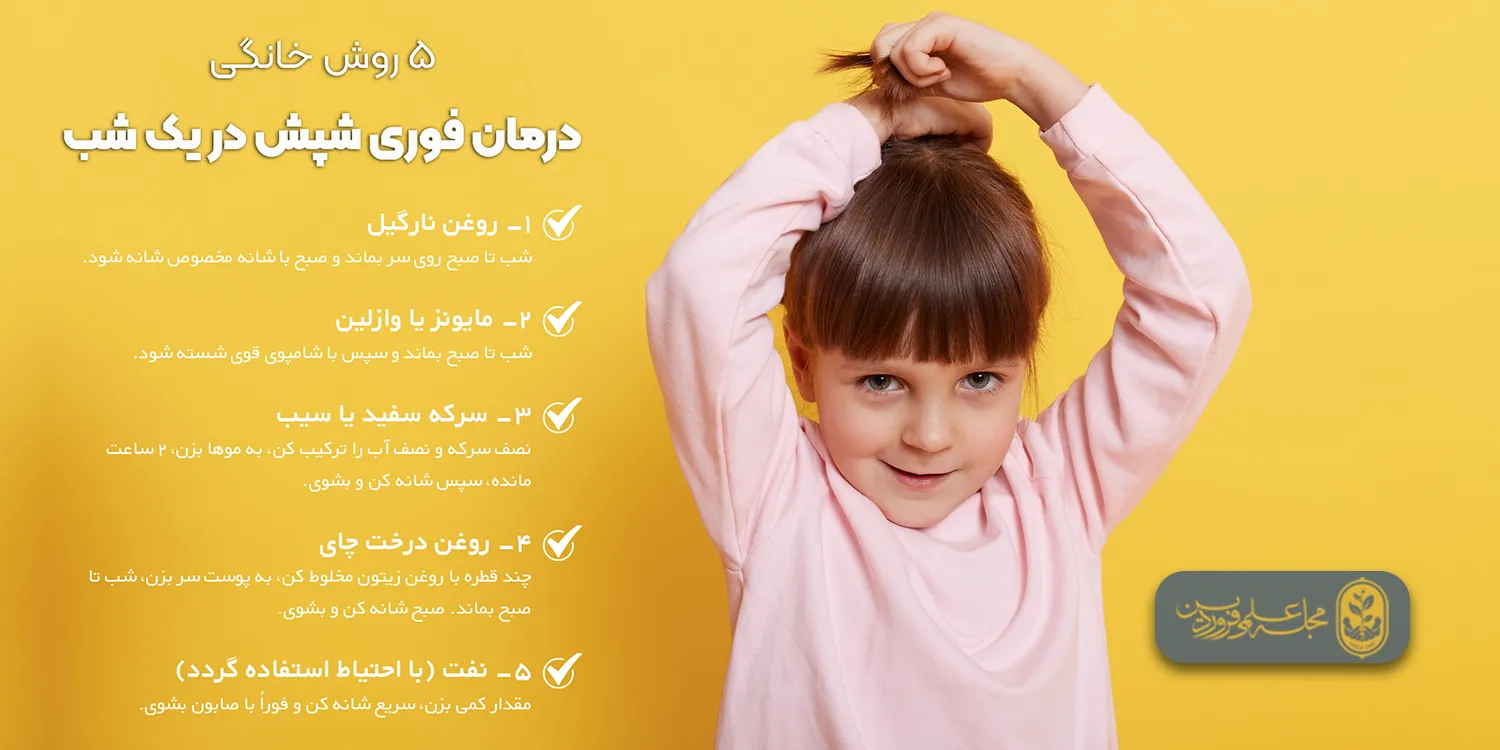 درمان فوری شپش در یک شب-از بین بردن شپش در خانه-درمان شپش سر-قویترین داروی ضد شپش خانگی-مجله علمی فروردین