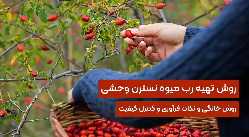 روش تهیه رب میوه نسترن وحشی