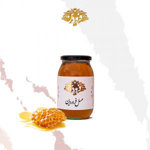 عسل گشنیز فروردین (650 گرم)