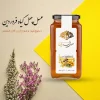 خرید عسل چهل گیاه کوهی فروردین_عسل چهل گیاه نیم کیلویی