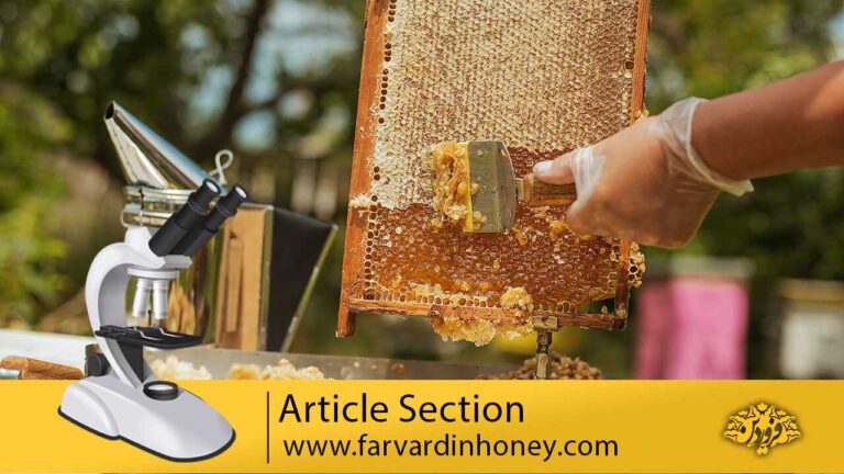 Physicochemical properties and mineral and protein content of honey samples from Ceará State, Northeastern Brazil