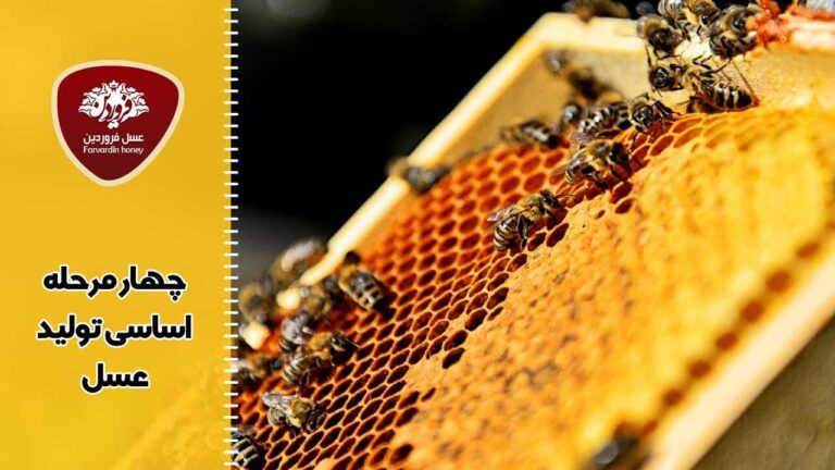 چهار مرحله اساسی تولید عسل