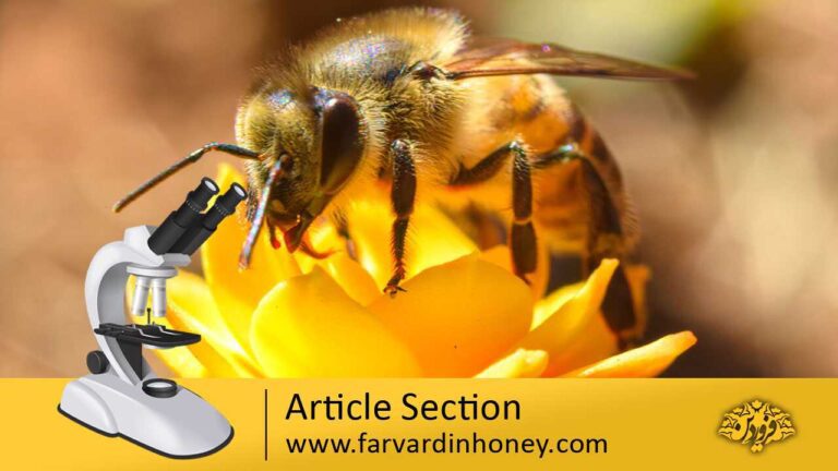 Protection of bees on farms | دانشنامه و فروشگاه عسل طبیعی و خرید ژل رویال اصل | عسل فروردین