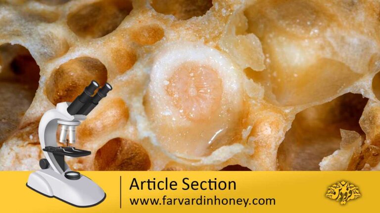 The effect of royal jelly on the cytotoxicity of blood mononuclear cells