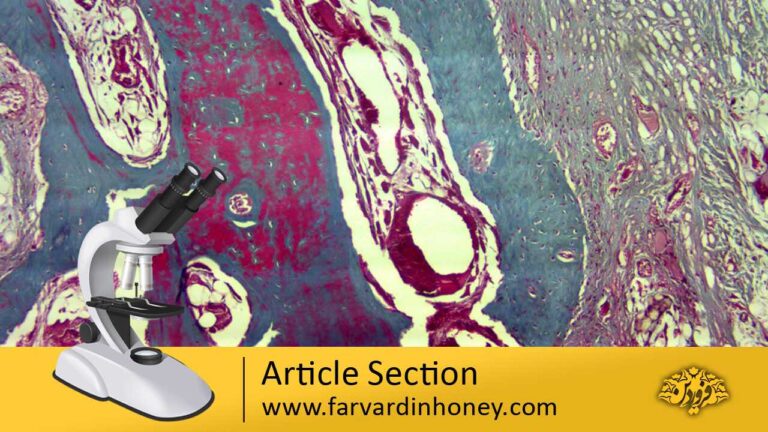 histomorphometry | دانشنامه و فروشگاه عسل طبیعی و خرید ژل رویال اصل | عسل فروردین