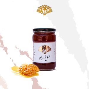 عسل زرشک فروردین-عسل سیاه رنگ-خرید عسل زرشک -قیمت عسل زرشک