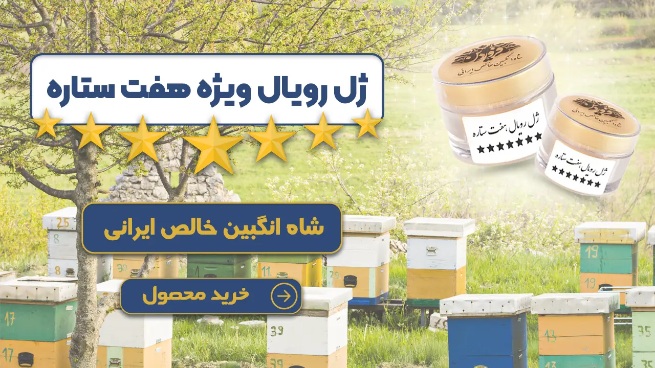 فواید ژل رویال اصل-کیا با ژل رویال باردار شدن-قیمت ۱۰۰ گرم ژل رویال اصل-ژل رویال اصل-ژل رویال ایرانی