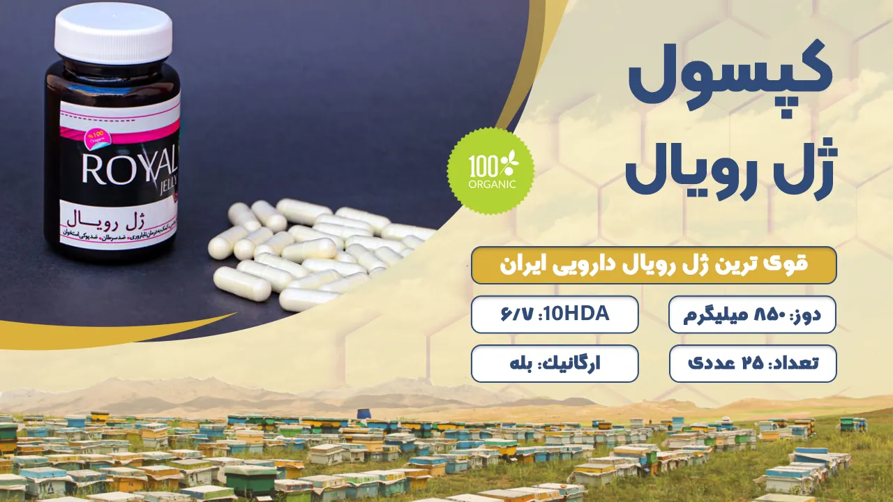 کپسول ژل رویال اصل-قرص ژل رویال-خرید کپسول ژل رویال-خرید قرص ژل رویال-قیمت کپسول ژل رویال اصل