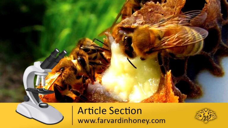Protective Effect of Royal Jelly against Renal Damage | دانشنامه و فروشگاه عسل طبیعی و خرید ژل رویال اصل | عسل فروردین