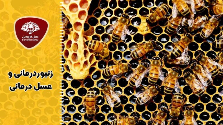 زنبور درمانی و عسل درمانی