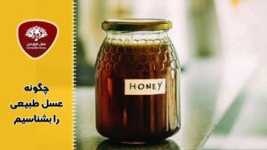 چگونه عسل طبیعی را بشناسیم