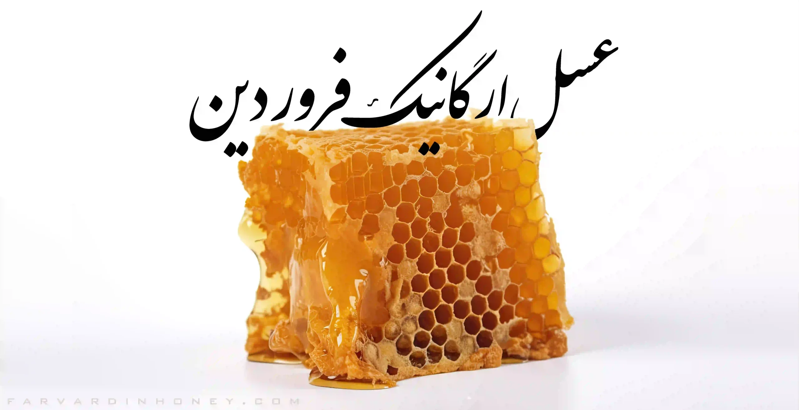 موم دار عسل مومدار عسل طبیعی با موم عسل طبیعی فروردین 2 scaled | دانشنامه و فروشگاه عسل طبیعی و خرید ژل رویال اصل | عسل فروردین