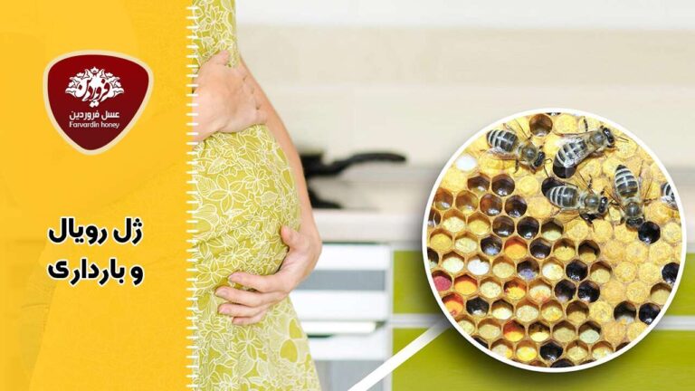 ژل رویال و بارداری، شیردهی و قاعدگی و 12 سوال کلیدی-ژل رویال و ناباروری-ژل رویال برای درمان ناباروری-عسل فروردین