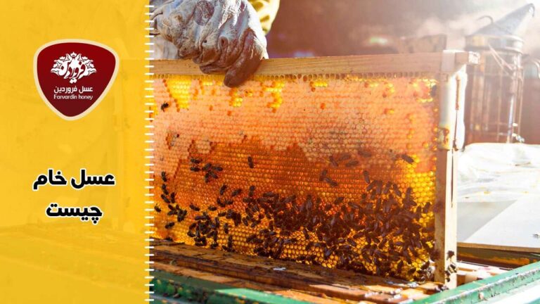 عسل خام چیست و 10 نکته ی تغذیه ای در مورد آن-عسل فروردین