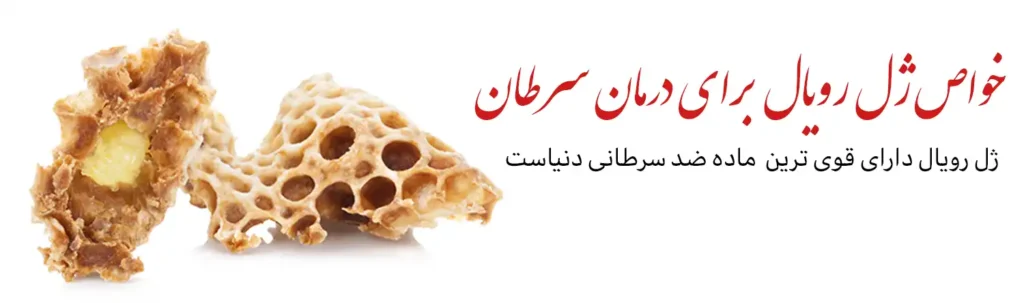 مصرف ژل رویال برای سرطان_خواص ژل رویال برای سرطان