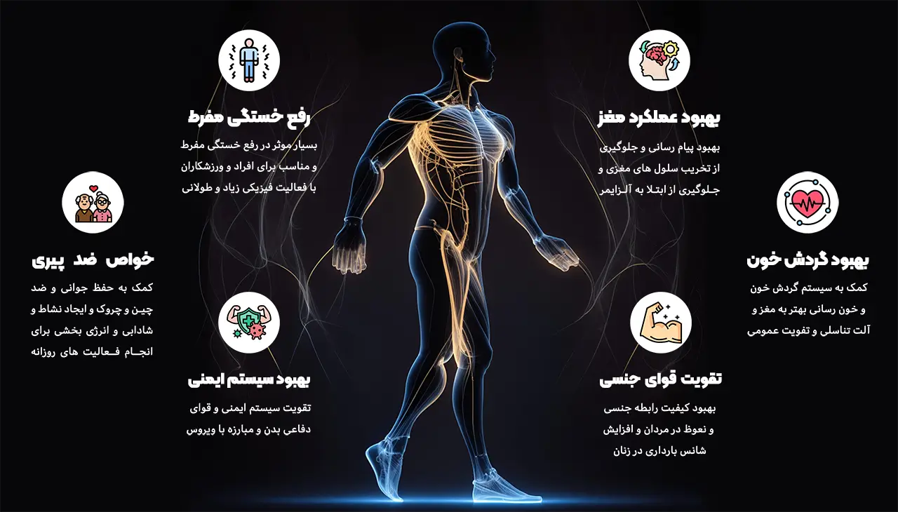 خواص جینسینگ شاخ گوزنی گلدلیگین-خواص جینسینگ هاگین-خواص جینسینگ جنتامین-خواص جینسینگ هاگین