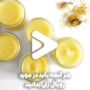 هر آنچه باید در مورد رویال ژلی بدانید-خواص رویال ژلی چیست-قرص رویال ژلی برای چی خوبه-رویال ژل-عسل فروردین