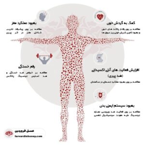 خواص جینسینگ برای زنان-عکس قرص جینسینگ اصل-خرید جینسینگ-