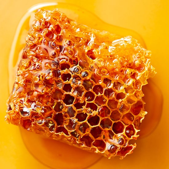زخم عمیق عسل برای زخم بستر طریقه مصرف عسل برای زخم عسل فروردین | دانشنامه و فروشگاه عسل طبیعی و خرید ژل رویال اصل با ضمانت | عسل فروردین