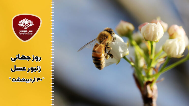 روز-جهانی-زنبور-عسل---30-اردیبهشت