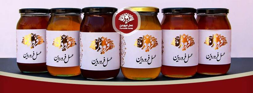 خرید-عسل-طبیعی-بدون-واسطه-مستقیم-از-زنبورداران-اصیل-ایرانی---ارگانیک-و-بسته-بندی-شده---همراه-با-ارسال-رایگان