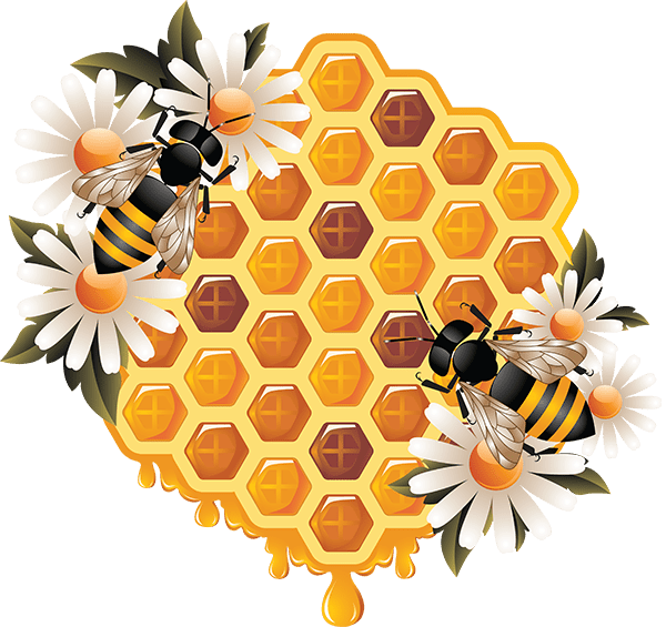 زنبورعسل-زنبور عسل-کندوی عسل-عسل طبیعی-عسل فروردین
