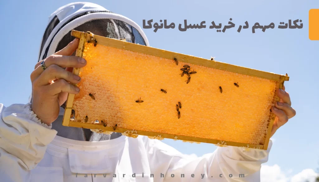 عسل مانوکا زنبورداری در نیوزلند MGO | دانشنامه و فروشگاه عسل طبیعی و خرید ژل رویال اصل | عسل فروردین