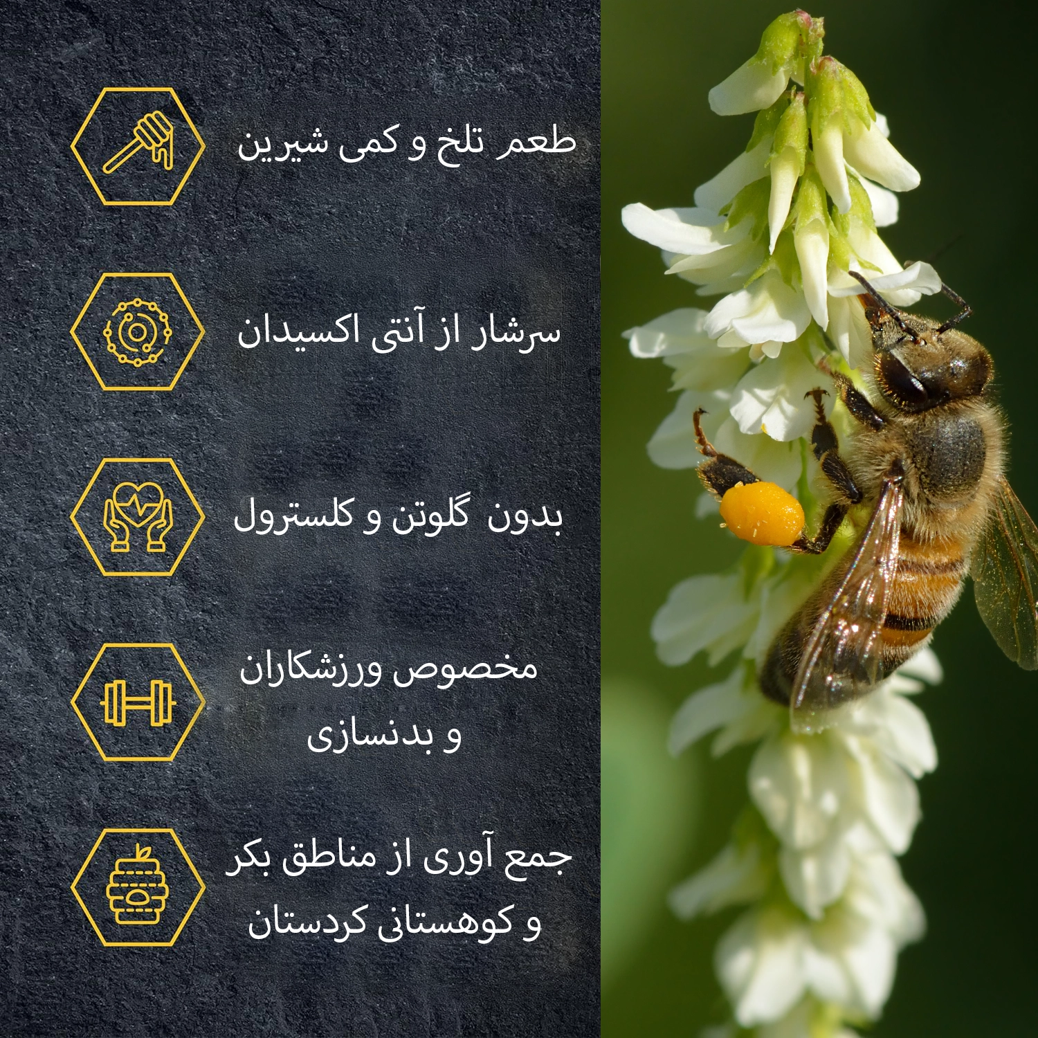 خصوصیات گرده گل زنبور عسل- طریقه مصرف گرده گل