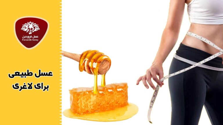 آیا واقعا عسل برای لاغری مفید است؟ از حقیقت تا دروغ