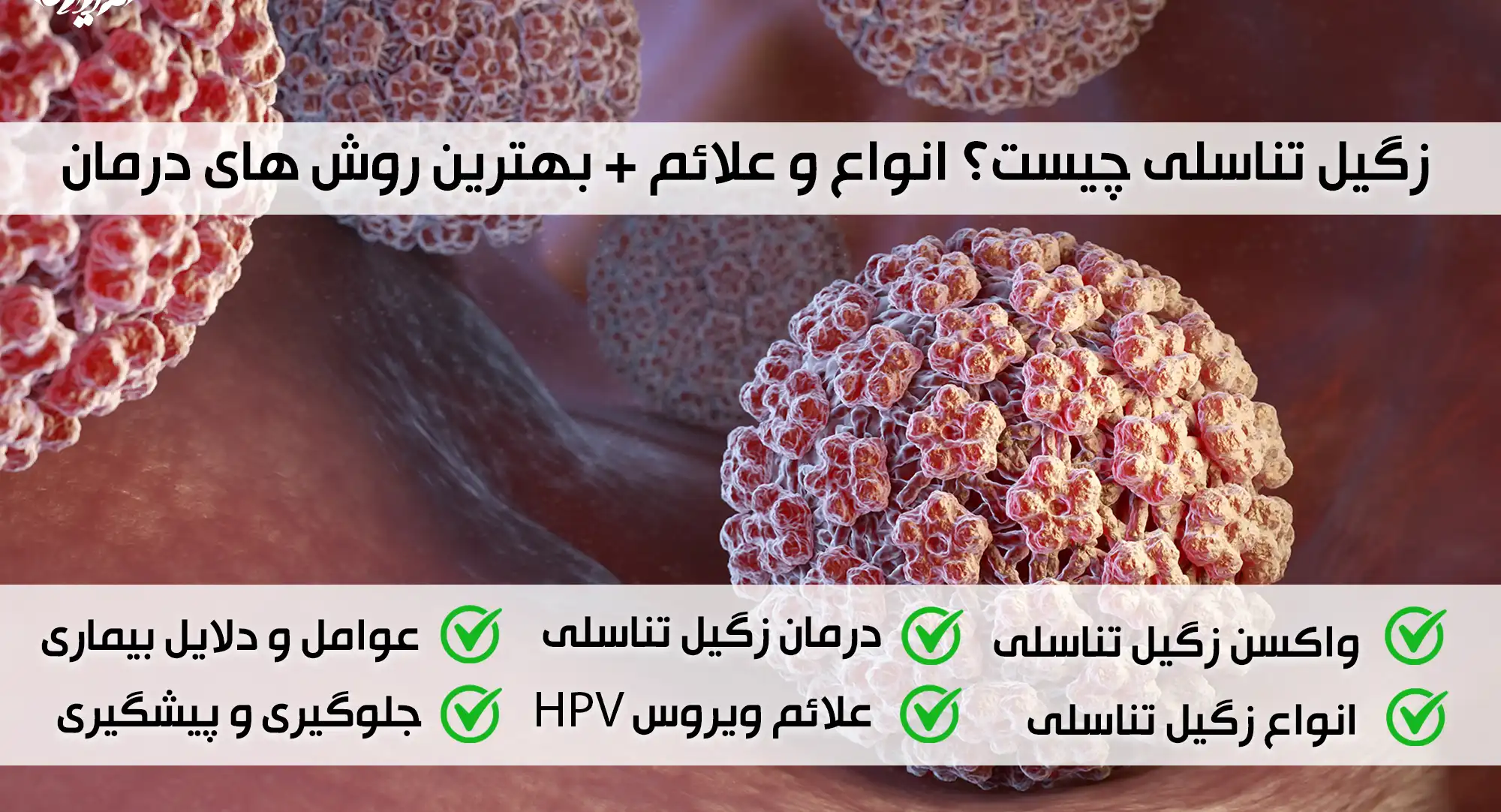 انواع زگیل تناسلی چیست درمان زگیل تناسلی واکسن زگیل تناسلی | دانشنامه و فروشگاه عسل طبیعی و خرید ژل رویال اصل | عسل فروردین