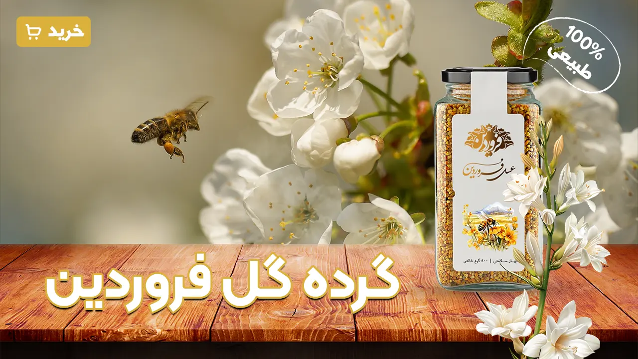 خرید گرده گل فروردین-قیمت گرده گل-خواص گرده گل