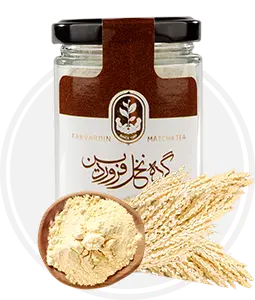 گرده نخل فروردین
