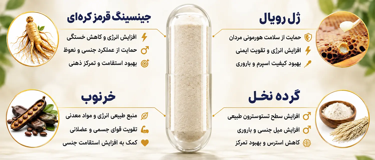 ترکیبات کپسول جینسینگ فروردین-خواص کپسول جینسینگ فروردین