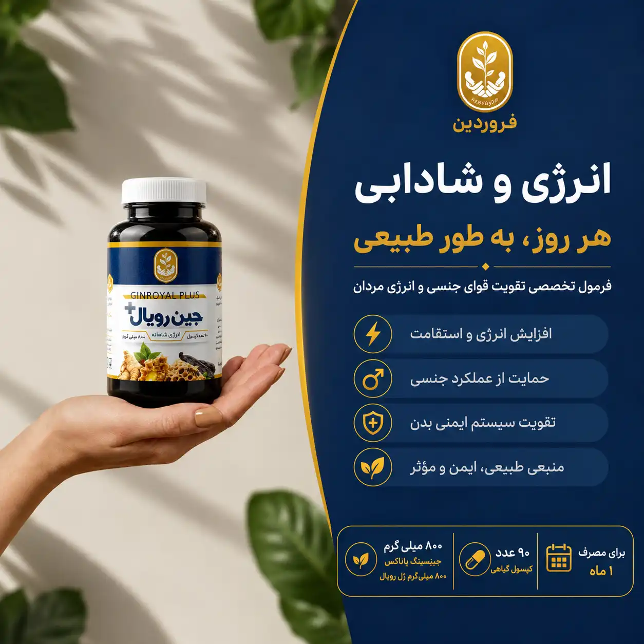 خرید قرص جینسینگ برای آقایان در تهران خرید قرص جینسینگ برای آقایان در تهران
